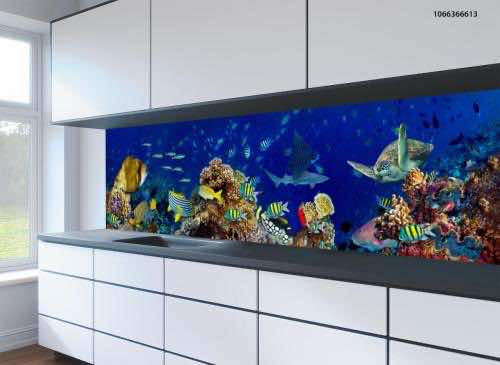 Kitchen splashbacks