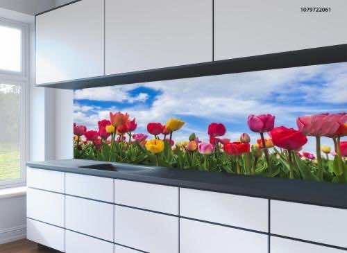Kitchen splashbacks