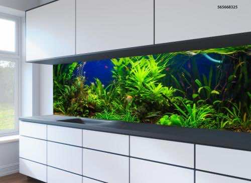 Kitchen splashbacks