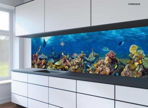 Kitchen splashbacks