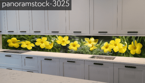panoramstock-3025