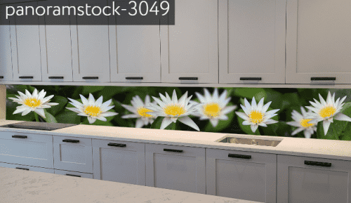 panoramstock-3049
