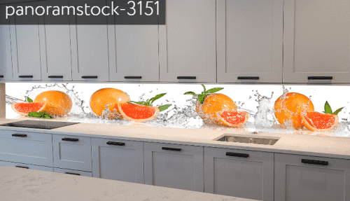 panoramstock-3151