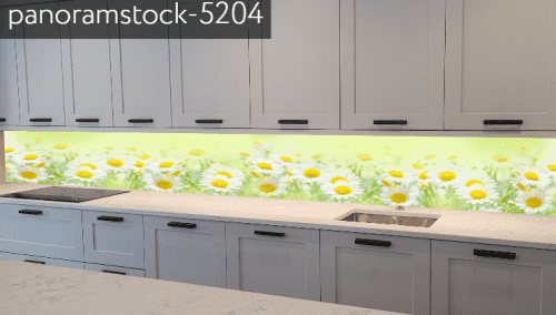 panoramstock-5204