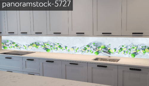 panoramstock-5727