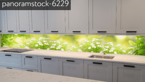 panoramstock-6229