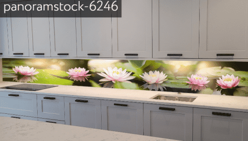 panoramstock-6246