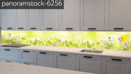 panoramstock-6256