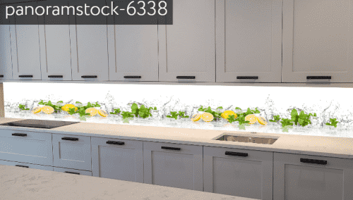 panoramstock-6338